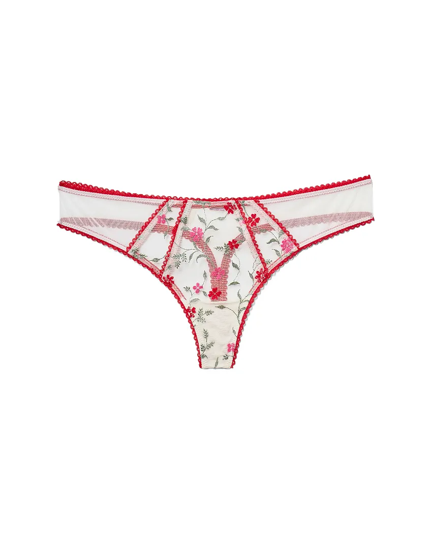 Rosa Solo Thong Floral Red 3 panty bundle Still 3