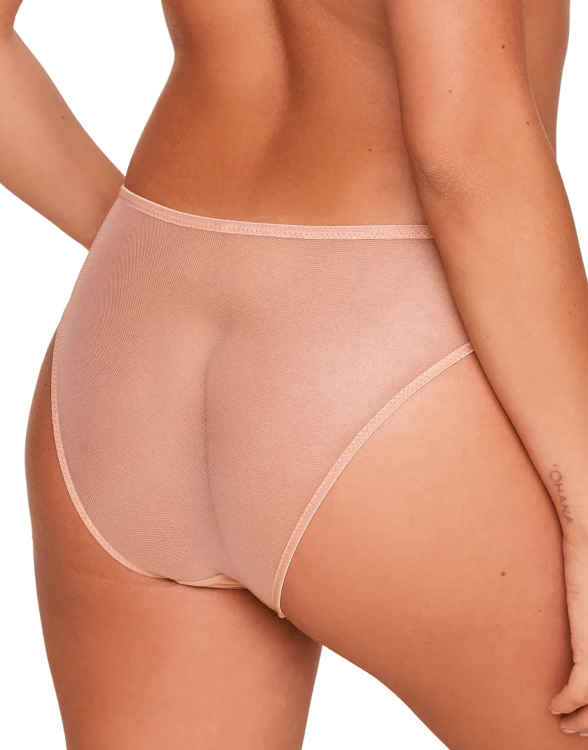 Daphne Bikini Brown panty bundle Model 2