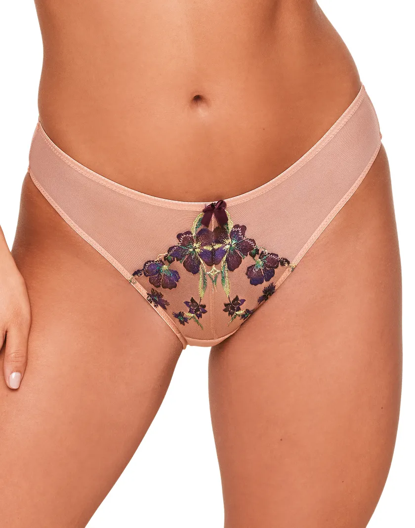 Daphne Bikini Brown panty bundle Model 1