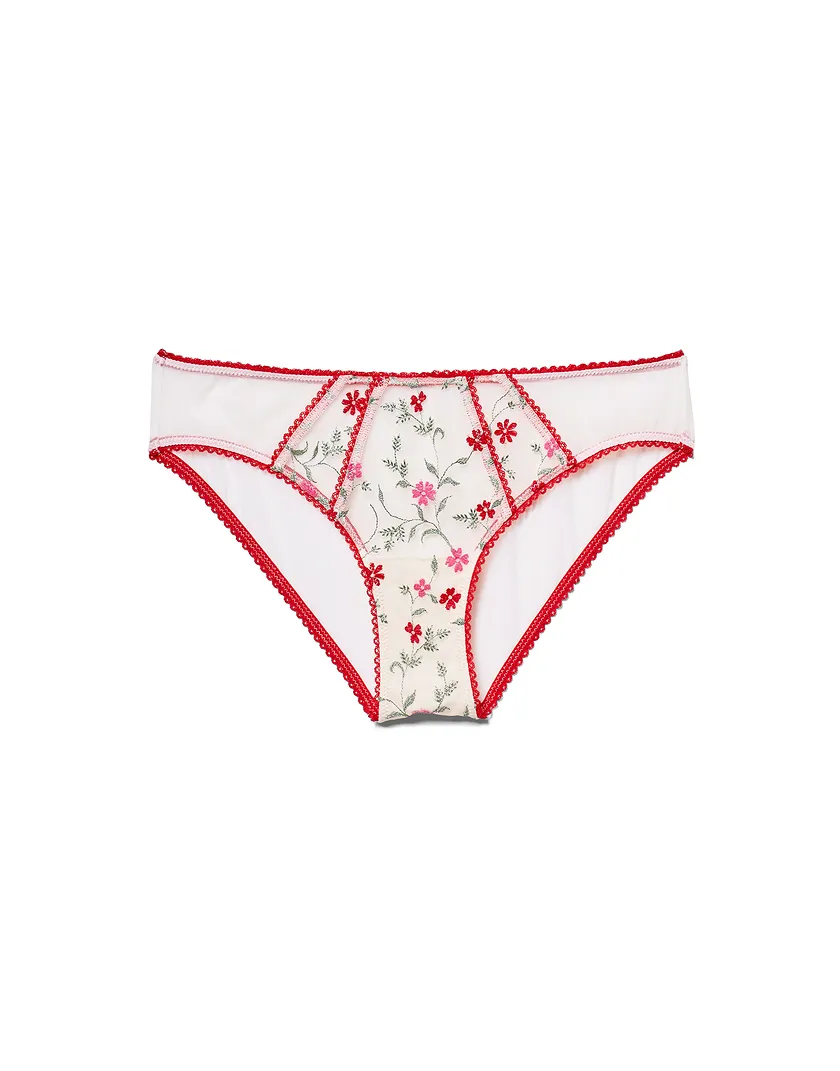 Rosa Solo 2 Bikini Floral Red 4 panty bundle Still 1