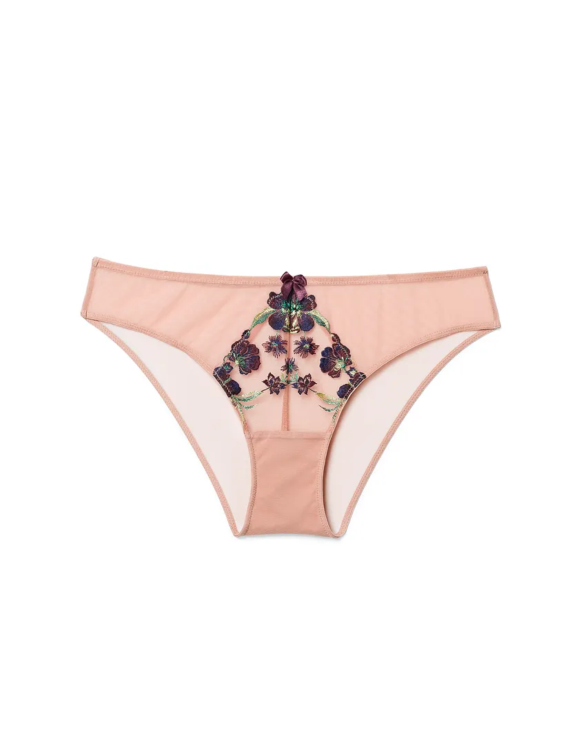 Daphne Bikini Brown panty bundle Still 3