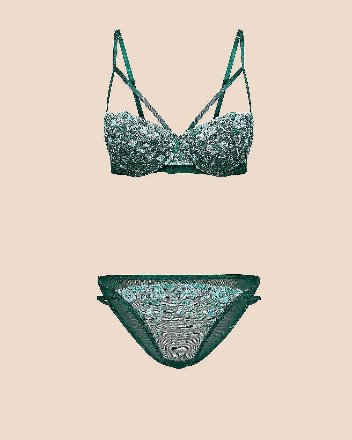 Fern Contour Plus