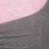Clairabelle Push Up Pink-a-boo