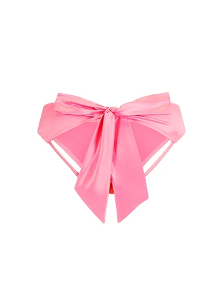 Gynger Bikini Medium Pink panty bundle Still 2