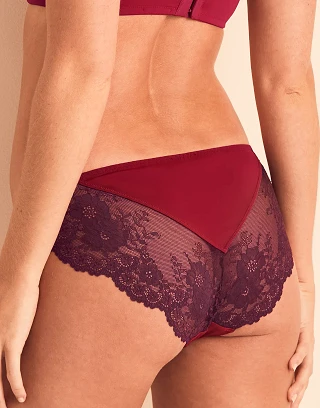 Taissa Bikini Dark Red panty bundle Model 2