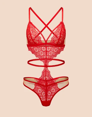 Gaelle Dark Red Unlined lingerie bundle Still 2