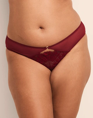 Albanne Bikini Dark Red panty bundle Model 2