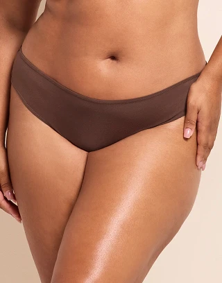 Teagan B1 Bikini Dark Brown panty bundle Model 2