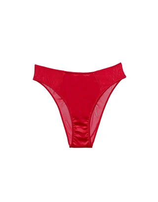 Arianna Brazilian Dark Red panty bundle Still 1