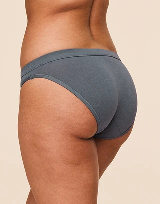 Period Proof Brief Dark Gray panty bundle Model 1