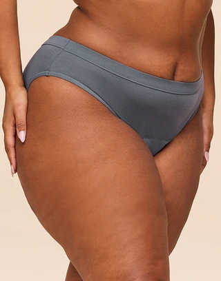 Period Proof Brief Dark Gray Plus panty bundle Model 2