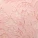 Elea Thong Panty Pink