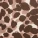 Shea Push Up Bra Print