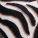 Demi Swim Bottom Print