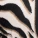 Tenny Triangle Swim Top Print