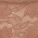 Shelsy Contour Bra Beige