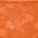 Delany Thong Panty Orange