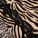 Nare Hipster Panty Print