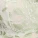 Mellody Brazilian Panty Green