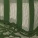 Cove PJ Set Green