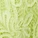 Diara Contour Bra Green