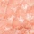 Evah Solo Cheeky Panty Orange