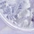 Talulah Unlined Bra Purple