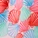 Graciela Cheeky Panty Print