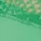 Marca Contour Bra Green