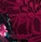 Mathilda Lightly Lined Bra Print