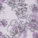 Onita Cheeky Panty Print
