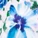 Izabella Robe Print
