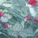 Vicky Brazilian Panty Print