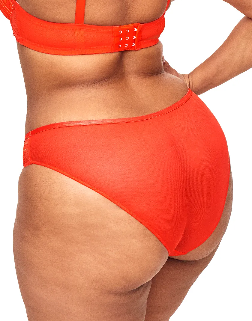 Trezza Bikini Dark Red 4 panty bundle Model 1