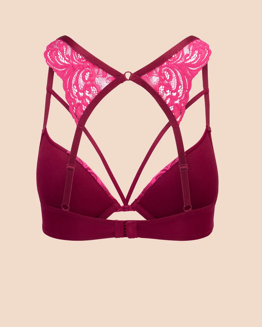 Saige Dark Red 2 Push Up bra bundle Still 4