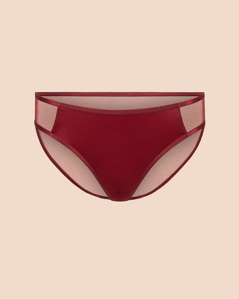 Domi Bikini Dark Red panty bundle Still 3