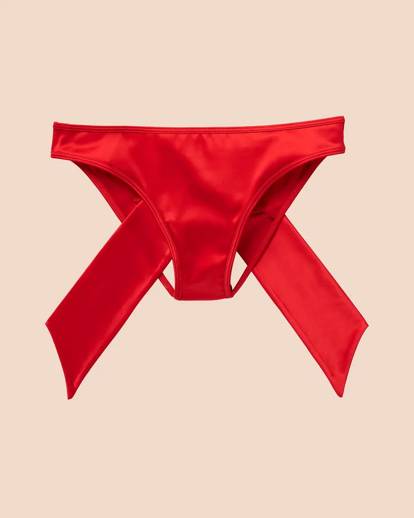 Gynger Bikini Dark Red panty bundle Still 2