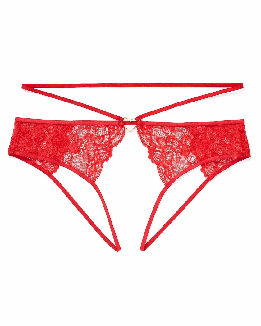 Danielle Bikini Dark Red panty bundle Still 3