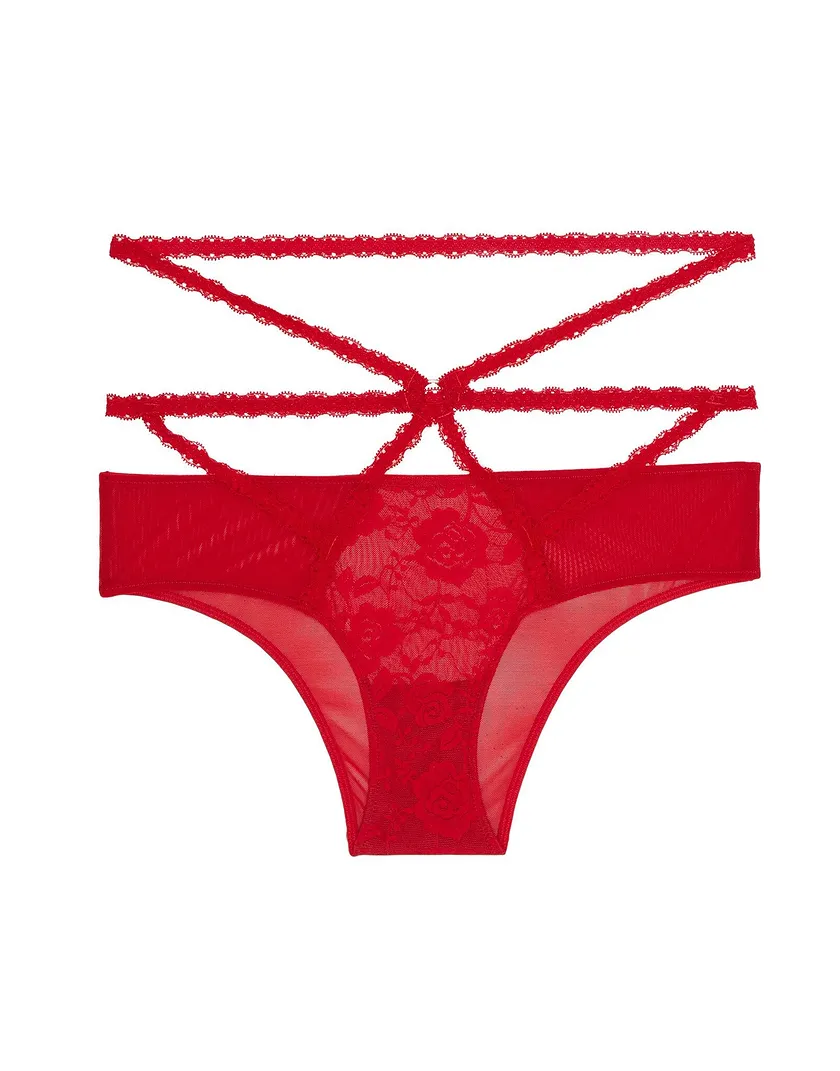 Brigitte Solo 2 Cheeky Dark Red panty bundle Still 3
