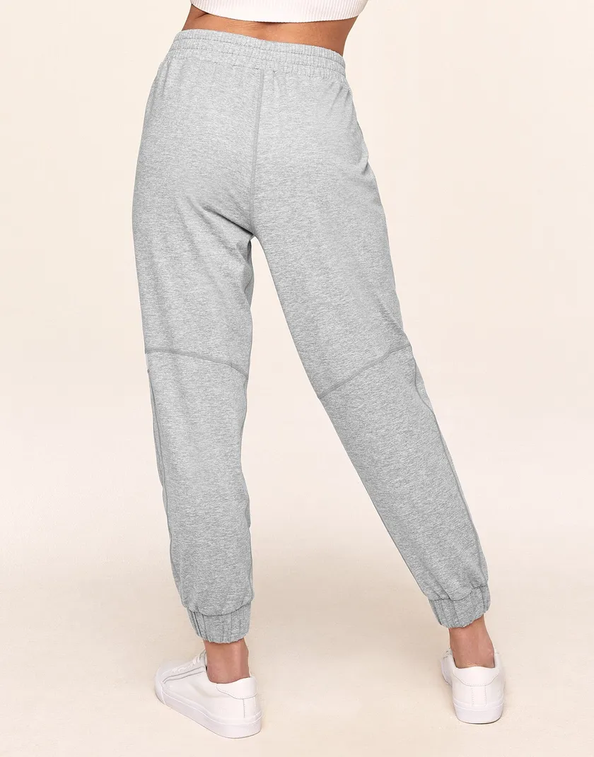 Harmoney Gray lounge bundle Model 6