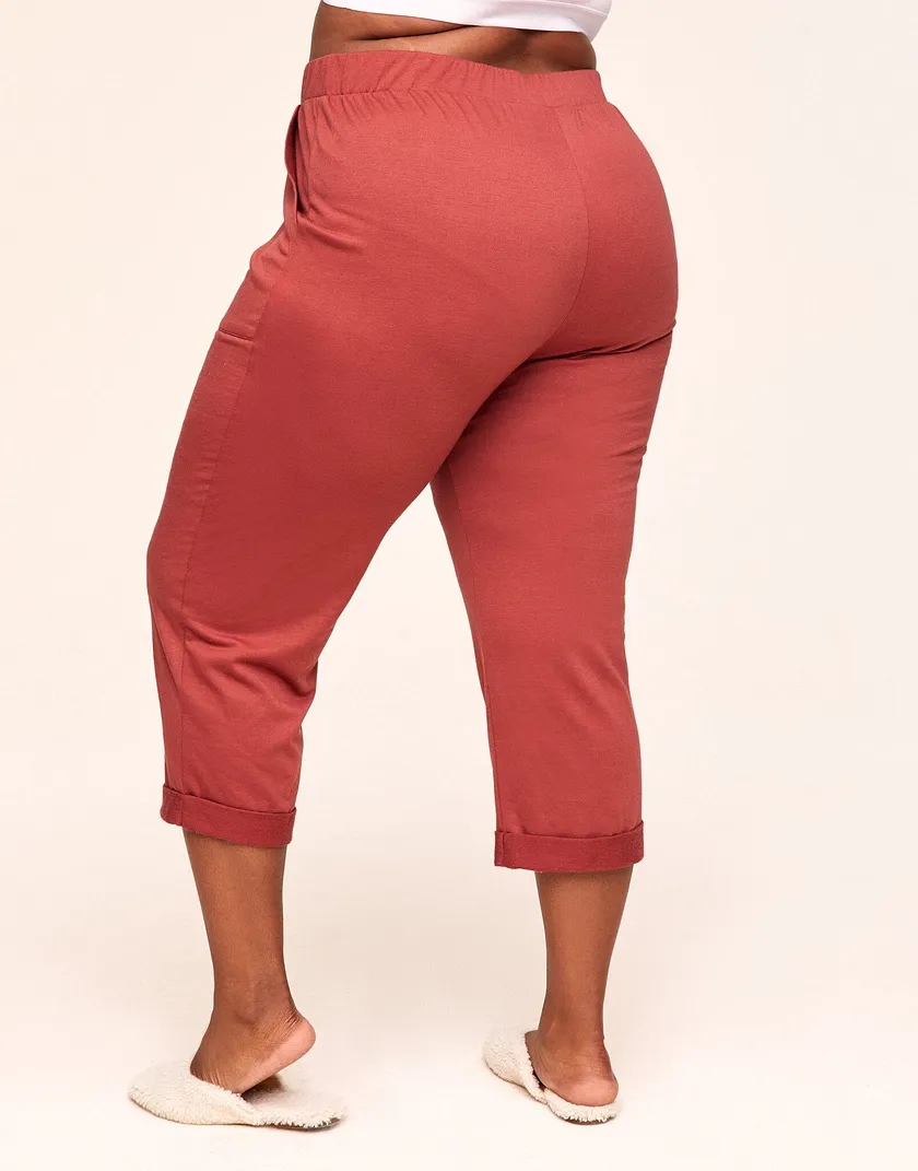 El Dorado Pant Brown Plus pants & shorts bundle Model 5