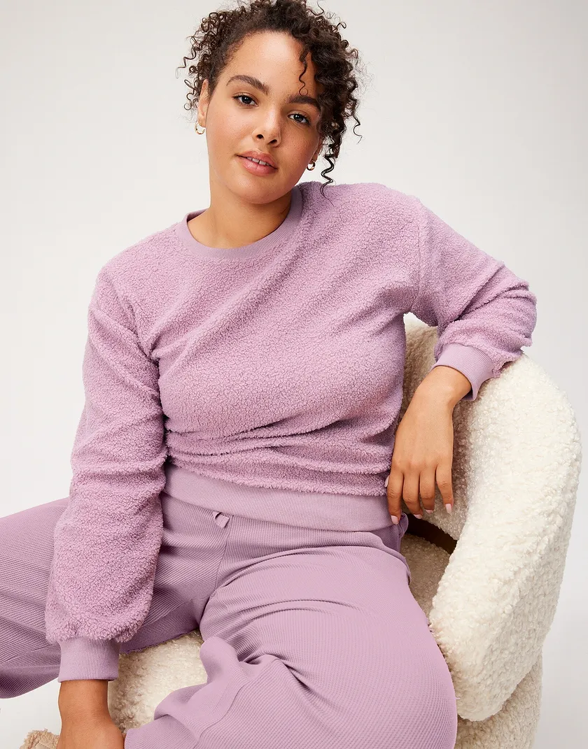 Jonesboro Sweatshirt Medium Purple Plus tops bundle Model 2