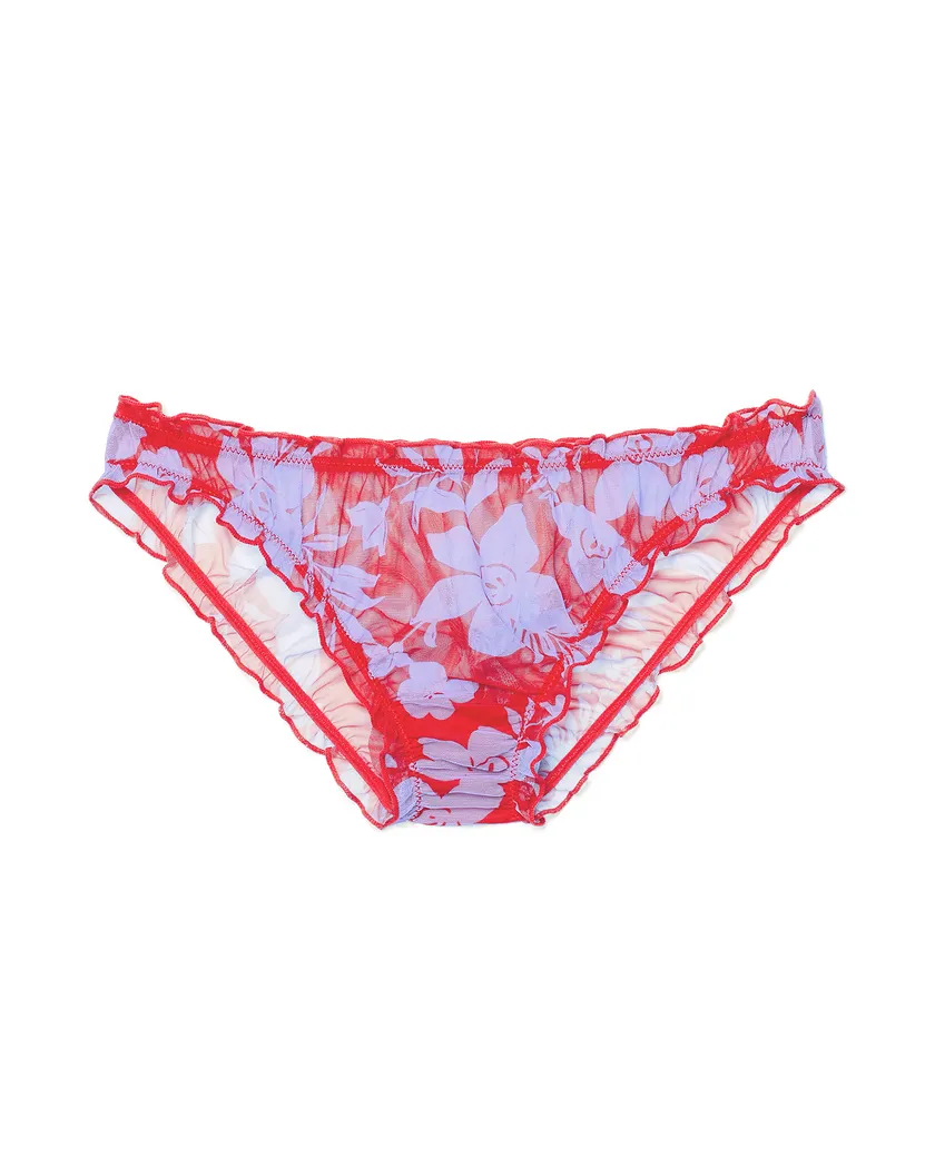 Georgia Brief Floral Red panty bundle Still 3