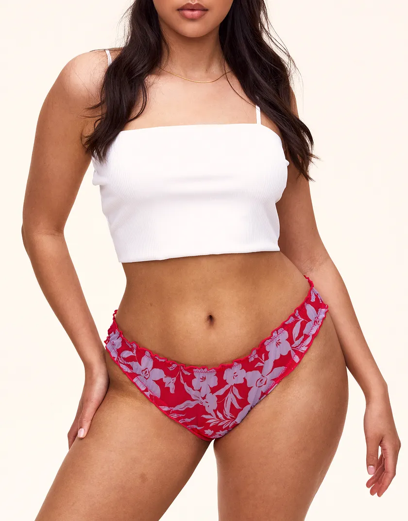 Georgia Brief Floral Red Plus panty bundle Model 5
