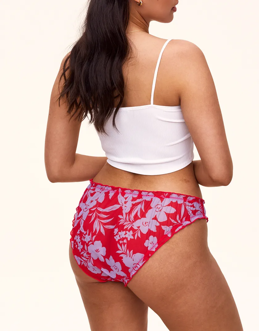 Georgia Brief Floral Red Plus panty bundle Model 2