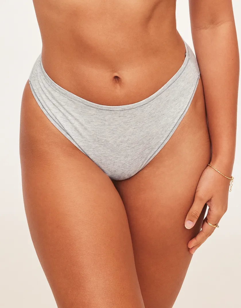 Jenna Cheeky Gray panty bundle Model 4