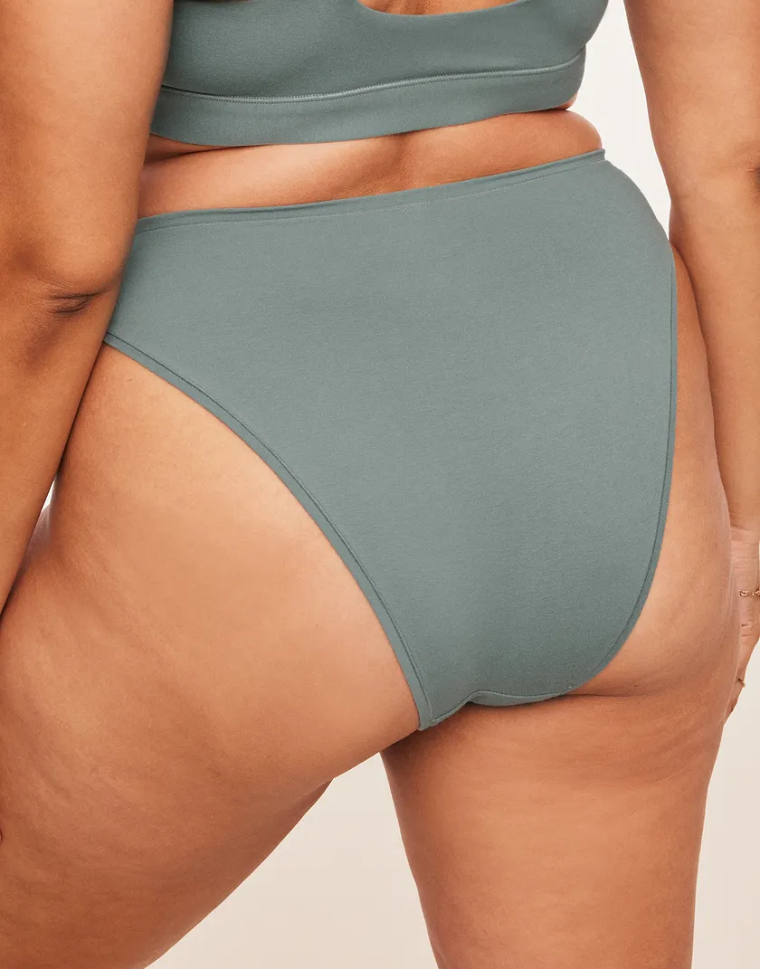 Jenna Cheeky Blue Plus panty bundle Model 2