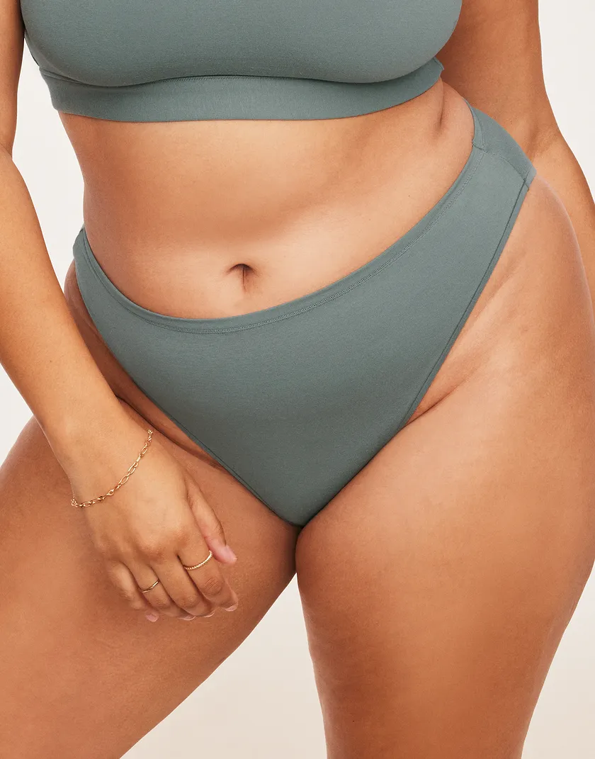 Jenna Cheeky Blue Plus panty bundle Model 5