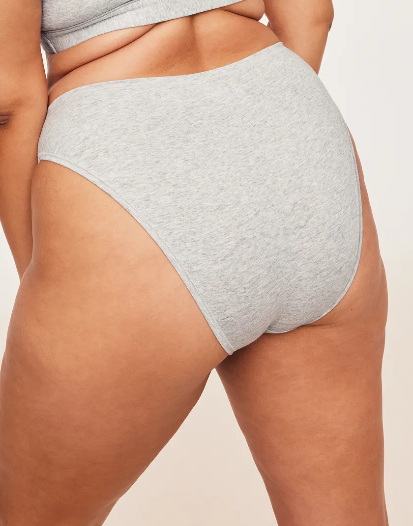 Jenna Cheeky Gray Plus panty bundle Model 2
