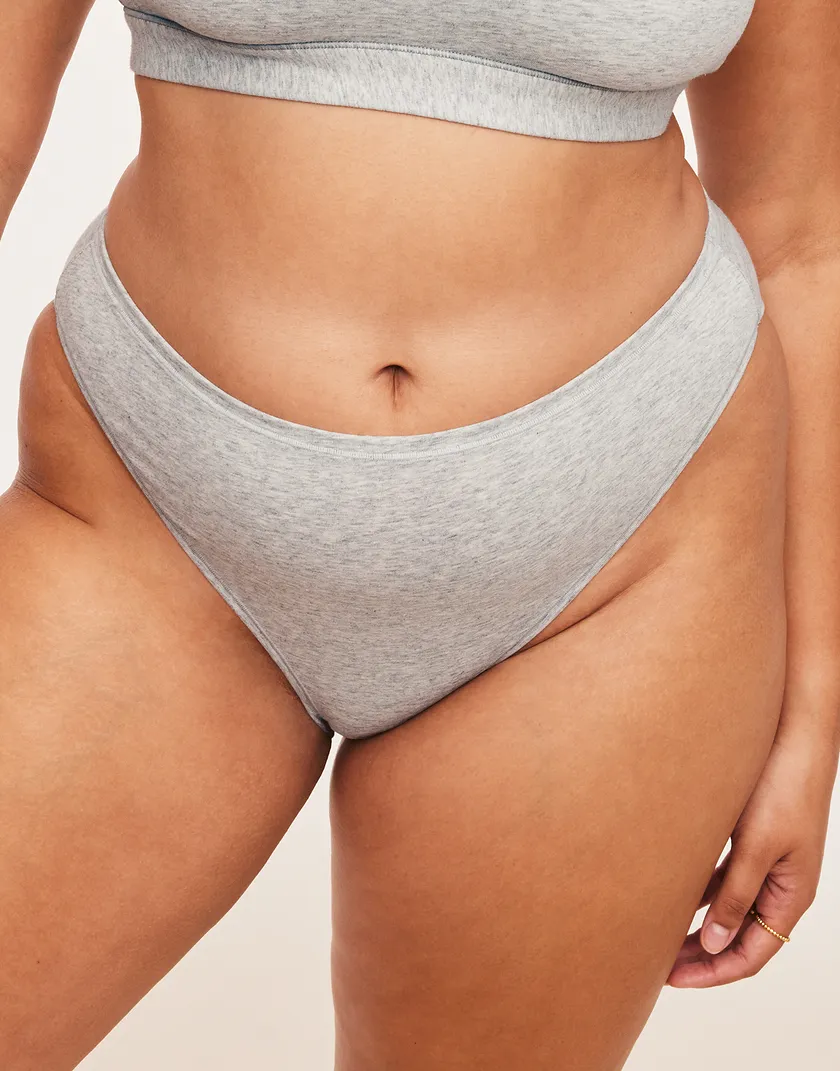Jenna Cheeky Gray Plus panty bundle Model 5